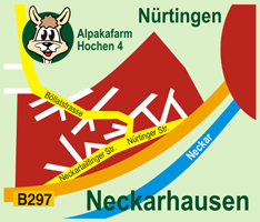 Karte Neckarhausen